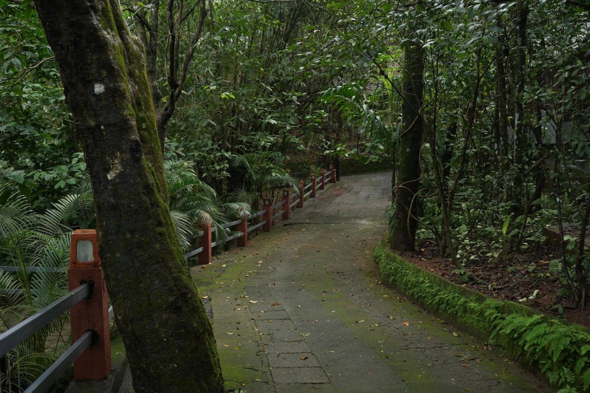 Wayanad Silverwoods Forest Resort & Spa Padinjarathara Exterior photo